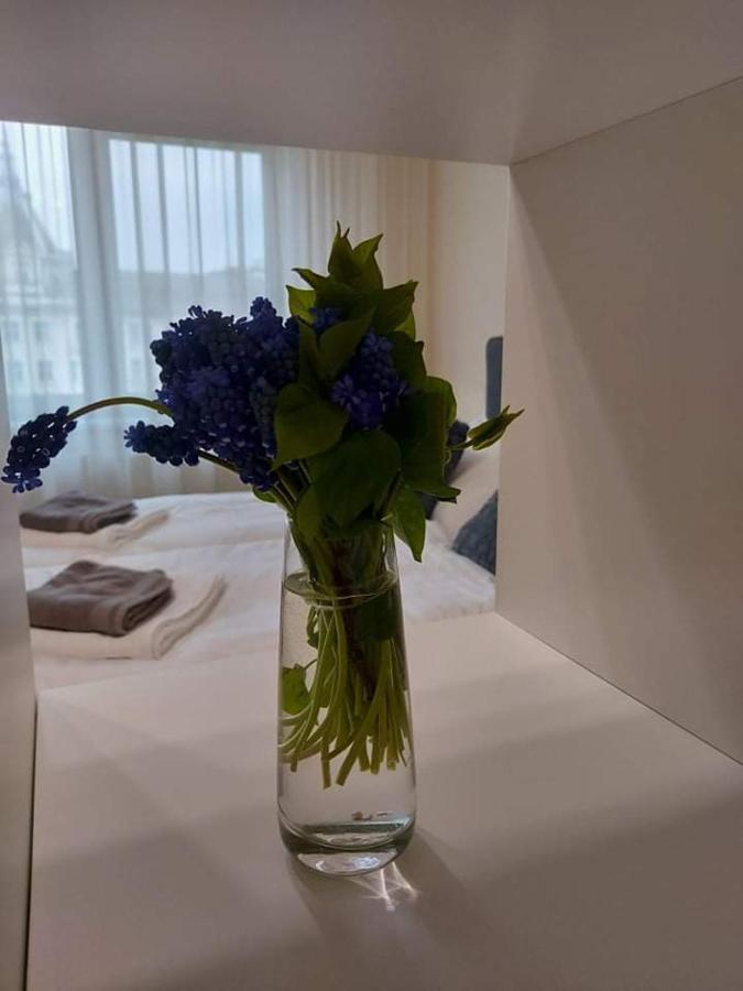 דברצן Alfoeldi Palace Apartman מראה חיצוני תמונה