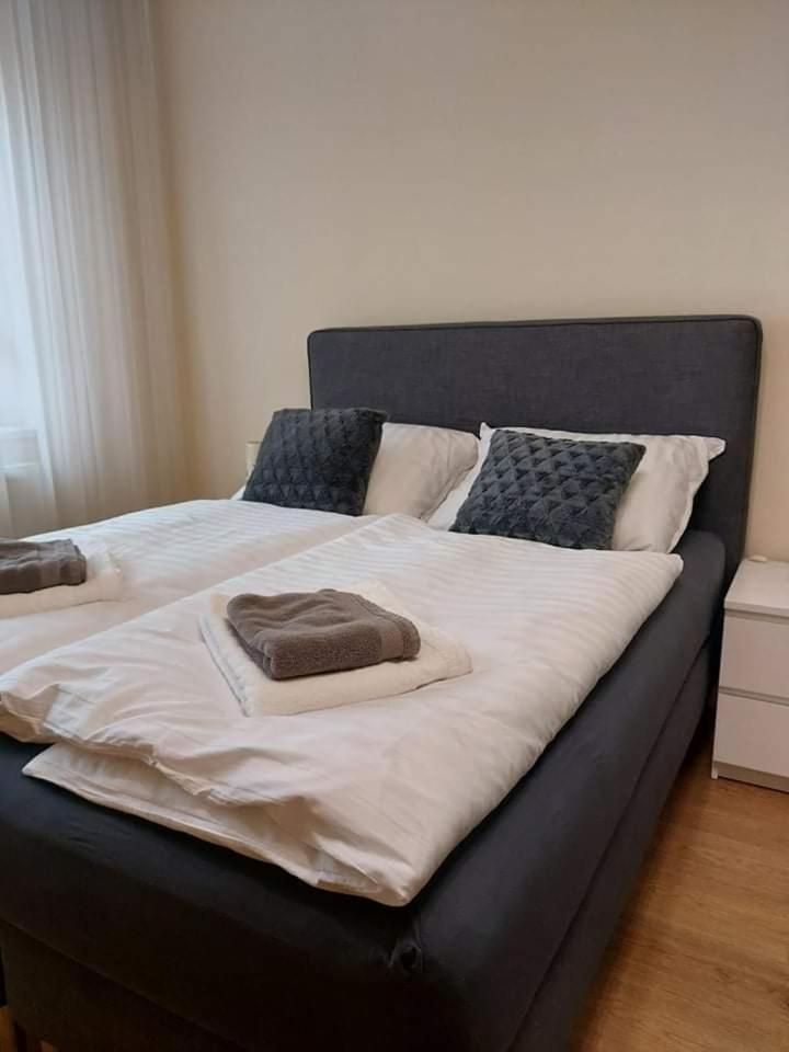 דברצן Alfoeldi Palace Apartman מראה חיצוני תמונה